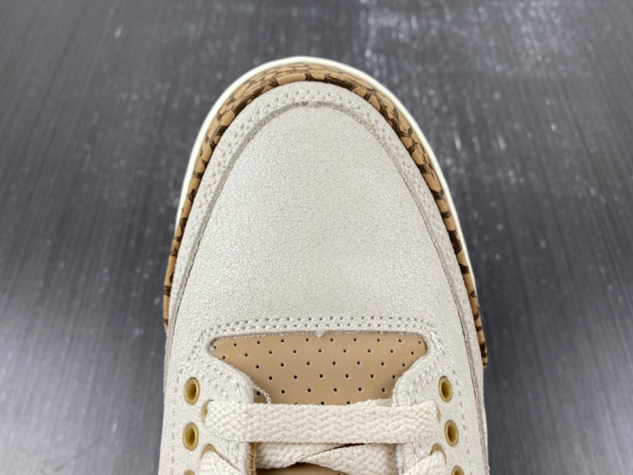 Air Jordan 3 “Palomino” CT8532-102