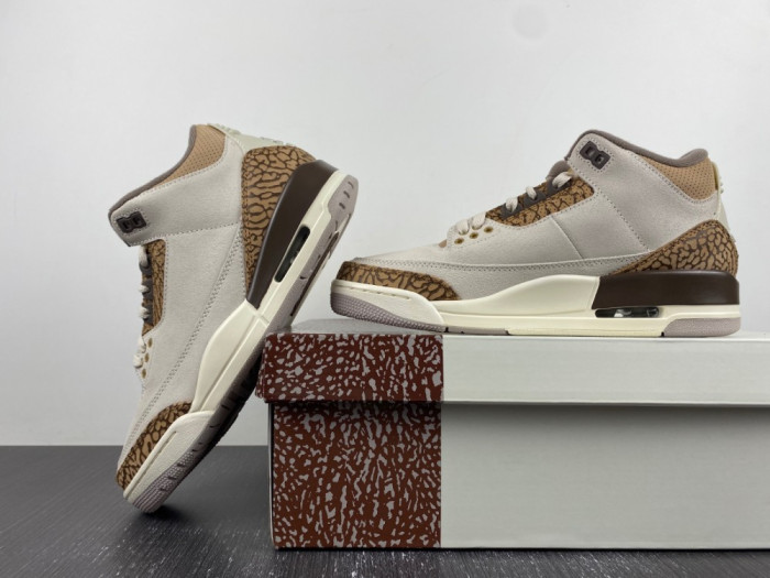 Air Jordan 3 “Palomino” CT8532-102